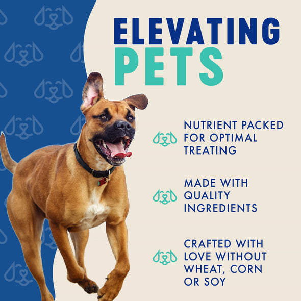 Finley's Barkery Blueberry Coconut Crunchy Biscuits