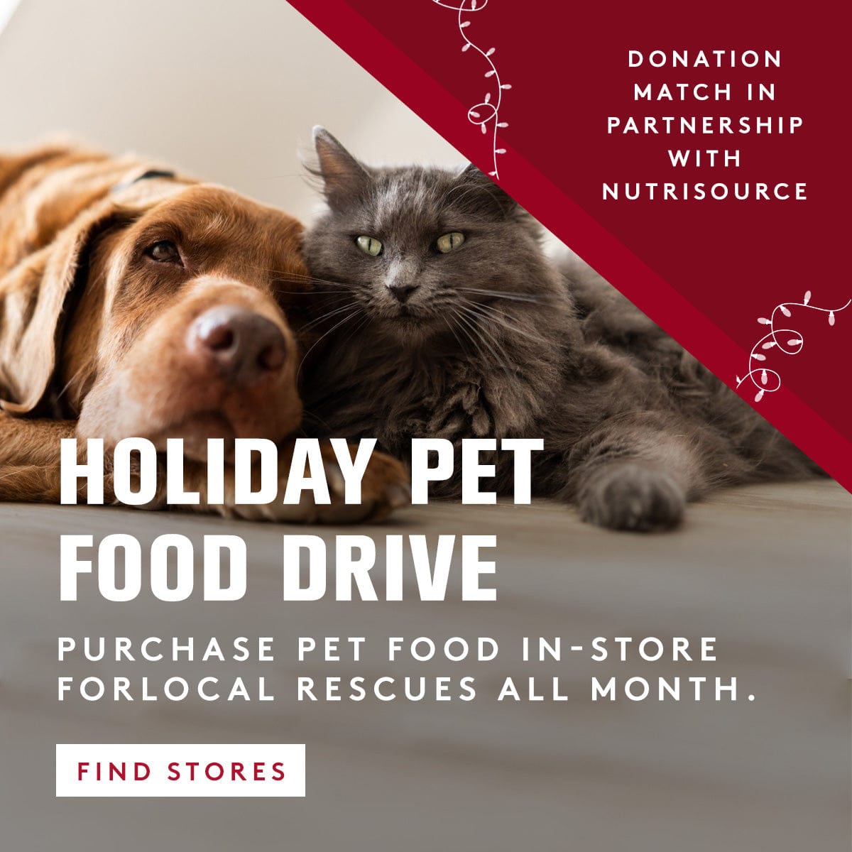 Dog and cat lying together with promotional text for a holiday pet food drive.