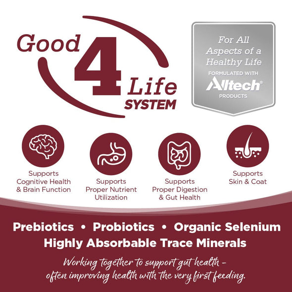 NutriSource Beef & Rice Canned Dog Food