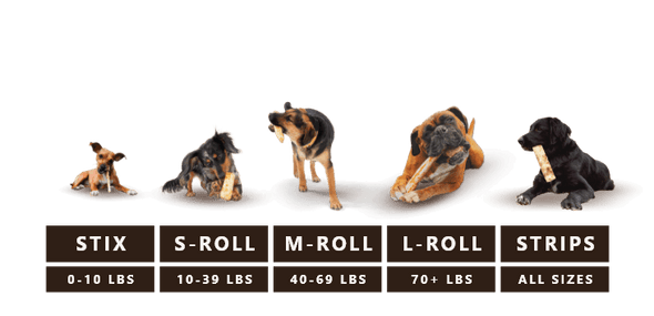 Earth Animal No Hide Stix Mango Recipe Dog Chews