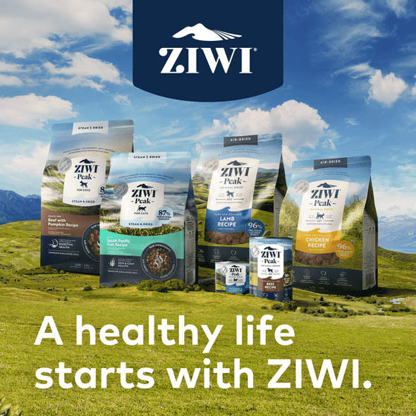 ZIWI Peak Steam & Dried Beef with Pumpkin Recipe Air-Dried Dog Food
